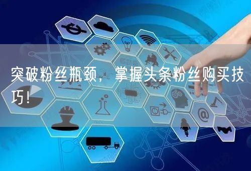 突破粉丝瓶颈,掌握头条粉丝购买技巧!