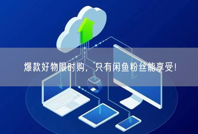 爆款好物限时购,只有闲鱼粉丝能享受!