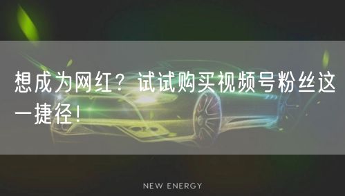 想成为网红?试试购买视频号粉丝这一捷径!