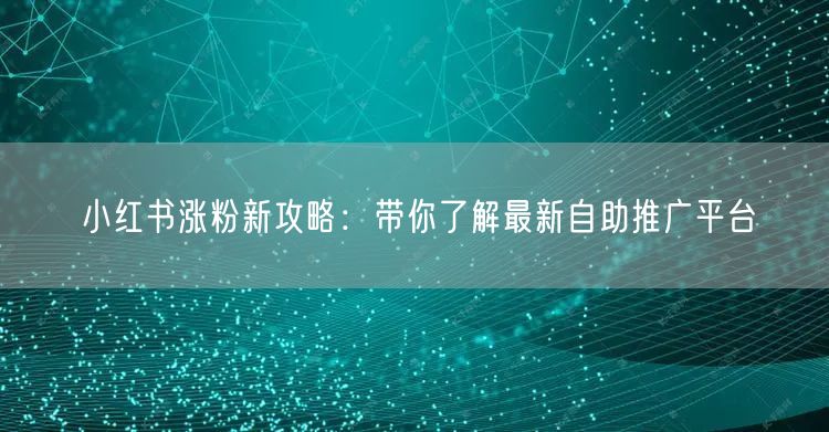 小红书涨粉新攻略:带你了解最新自助推广平台