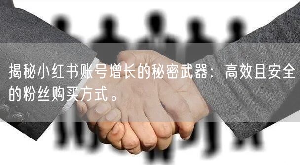 揭秘小红书账号增长的秘密武器:高效且安全的粉丝购买方式。