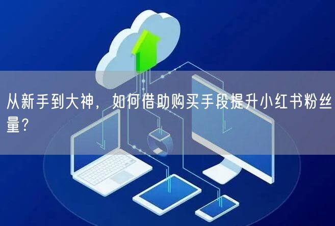 从新手到大神,如何借助购买手段提升小红书粉丝量?