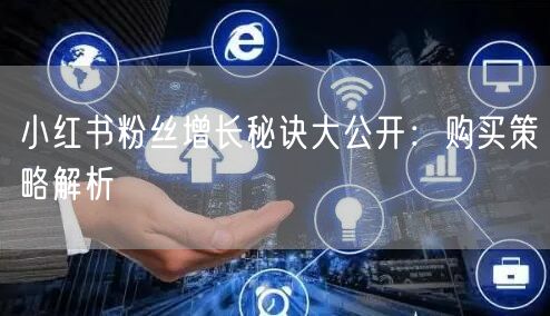 小红书粉丝增长秘诀大公开:购买策略解析
