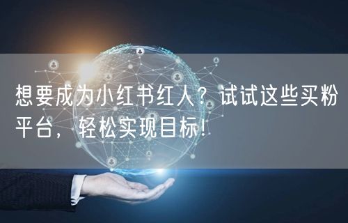 想要成为小红书红人?试试这些买粉平台,轻松实现目标!