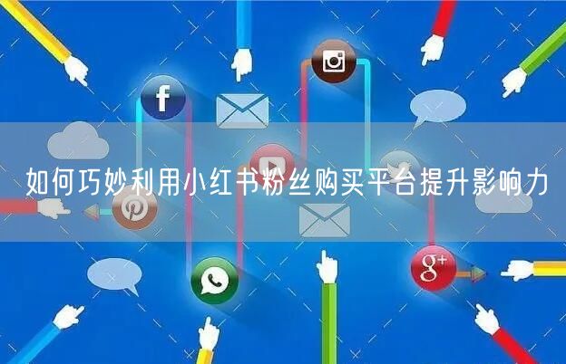 如何巧妙利用小红书粉丝购买平台提升影响力