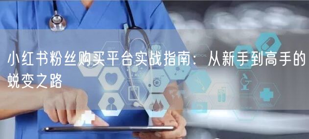 小红书粉丝购买平台实战指南:从新手到高手的蜕变之路
