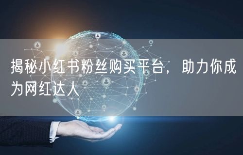揭秘小红书粉丝购买平台,助力你成为网红达人