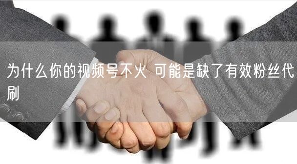 为什么你的视频号不火 可能是缺了有效粉丝代刷